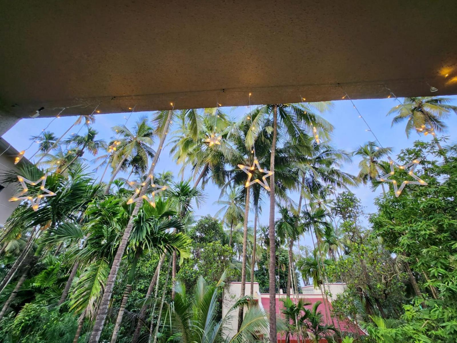 Bhumi Holiday Home آليباغ المظهر الخارجي الصورة