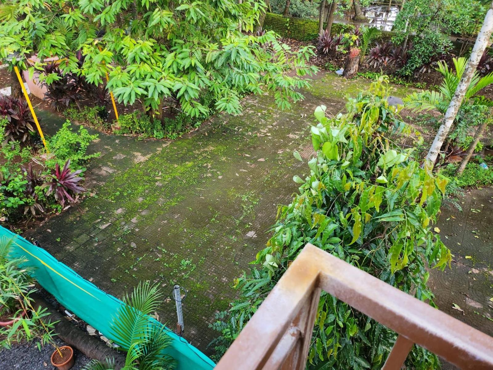 Bhumi Holiday Home آليباغ المظهر الخارجي الصورة